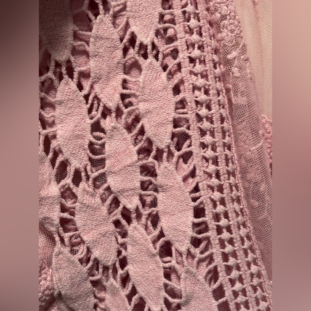 Pink Lace Overlay Dress embroidered with ruffled sleeves sheer - Picture 7 of 16